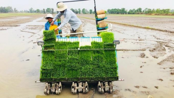 Đẩy mạnh cơ giới hóa sản xuất lúa