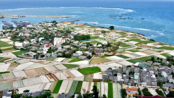 Huyện đảo Lý Sơn thực hiện chính quyền một cấp
