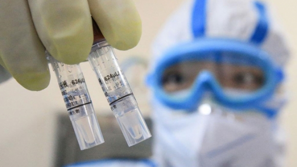 Hiểu đúng về hệ miễn dịch và cách cơ thể chiến đấu chống virus