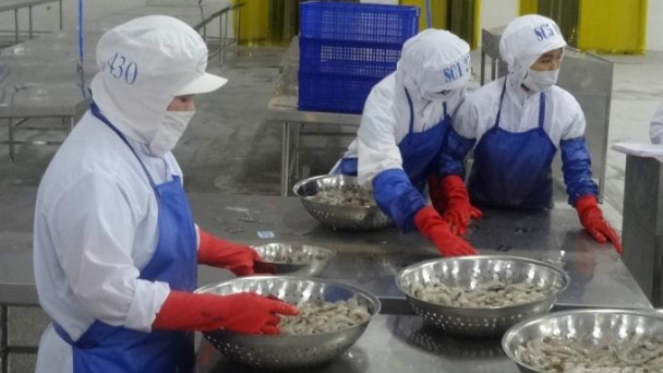 Đề nghị hỗ trợ cho doanh nghiệp đầu tư kho lạnh trữ hàng