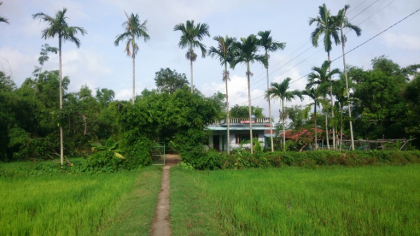 Cát Sơn phấn đấu về đích nông thôn mới cuối năm 2020