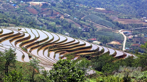 Vẻ đẹp ruộng bậc thang Y Tý mùa nước đổ