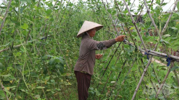 Hưng Yên thêm nhiều chính sách hỗ trợ người dân gặp khó khăn do dịch Covid-19
