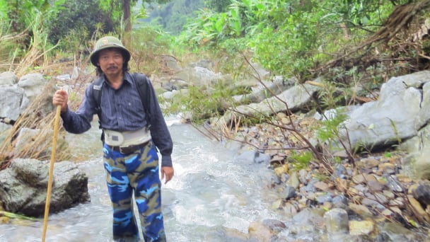 Băng trên ngọn lũ rừng