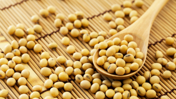 Lo ngại rủi ro cao trong thị trường ngô, đậu tương thế giới