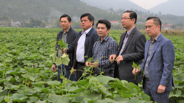 Phải có mô hình như của Quế Lâm mới lan tỏa được nông nghiệp hữu cơ