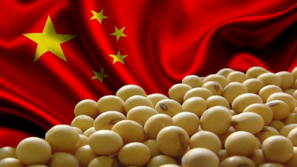 Nhập khẩu đậu tương của Trung Quốc giảm nhẹ trong hai tháng đầu năm