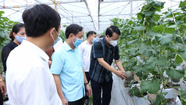 Nông dân thành công nhân công nghệ cao