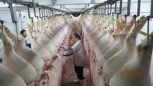 Hà Nội: Tích cực triển khai công tác đảm bảo an toàn thực phẩm