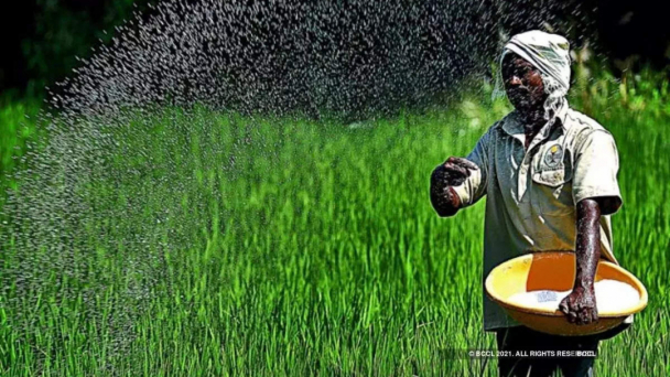 Nông dân Ấn Độ cắn răng mua phân bón 'chợ đen'