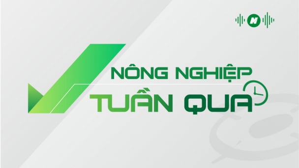 2022, năm của mở cửa thị trường nông sản chủ lực