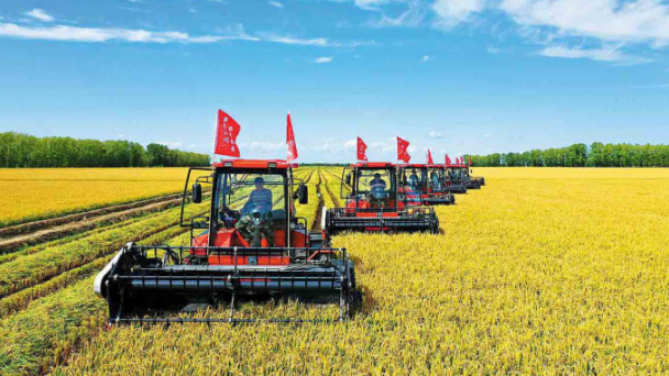 Chuyên gia Trung Quốc: Tiếp cận lâu dài để bảo vệ đất canh tác