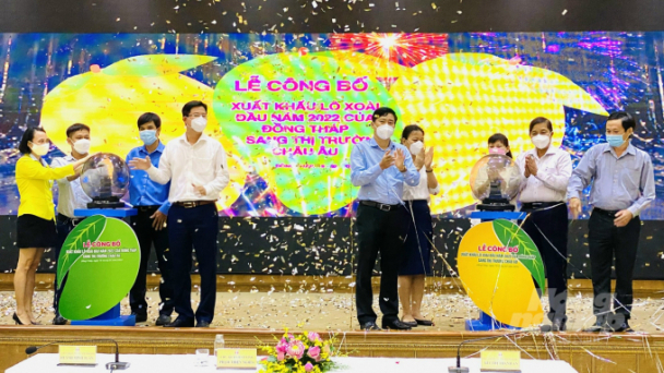 Đồng Tháp công bố xuất khẩu 3 tấn xoài sang châu Âu