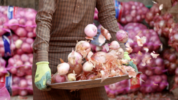Nông dân Pakistan muốn xuất khẩu hành tây sang Trung Quốc