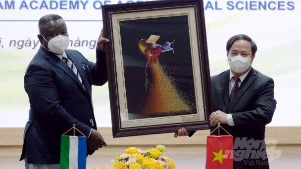 Đưa nông nghiệp thành trụ cột trong hợp tác song phương Việt Nam - Sierra Leone
