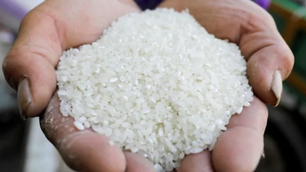 Nhu cầu dùng gạo làm thức ăn chăn nuôi ở châu Á tăng mạnh