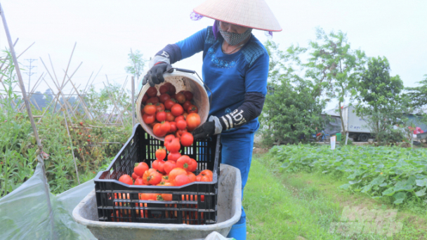 Hệ thống thực phẩm dinh dưỡng đang 'bỏ trống' khu vực nông thôn