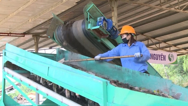 Chỉ 2% rác thải được chôn lấp đúng cách