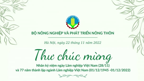 'Làm sâu sắc hơn khái niệm rừng vàng'
