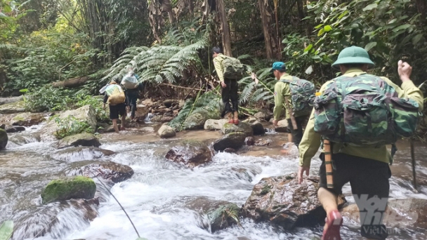 Ban quản lý Rừng phòng hộ Tương Dương: Bảo vệ rừng cũng giỏi, tăng gia sản xuất cũng tài