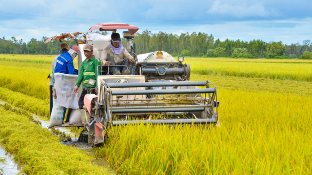 Tiến bộ kỹ thuật phải biến ‘ly nông, ly hương’ thành ‘quy nông, quy hương’
