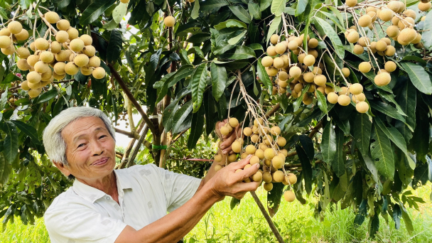 Sản xuất hữu cơ để nâng cao chuỗi giá trị nông sản