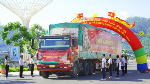 Sông Mã xuất khẩu lô nhãn đầu tiên niên vụ 2023 chinh phục 3 thị trường lớn