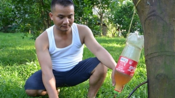 Mất tiền tỷ vì mua thuốc bảo vệ thực vật tràn lan trên mạng