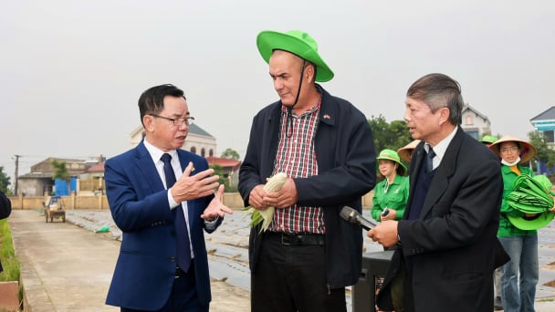 Đoàn Bộ trưởng Nông nghiệp Cuba thăm Tập đoàn ThaiBinh Seed