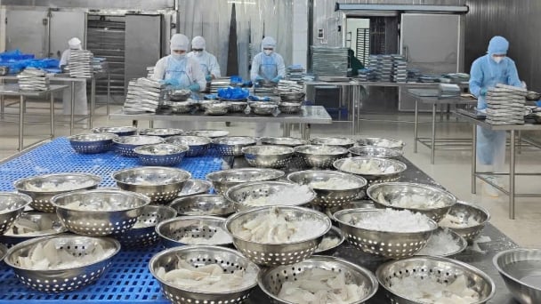 Turning seafood by-products into ‘green gold’: [1] Great potential