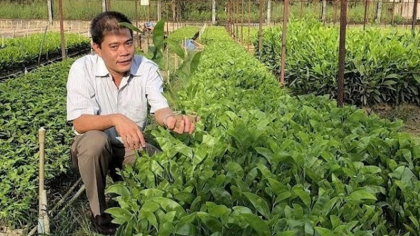 Khoa học công nghệ dẫn lối cho lâm nghiệp vươn xa: [Bài 1] Từ cây giống đến bản đồ carbon rừng