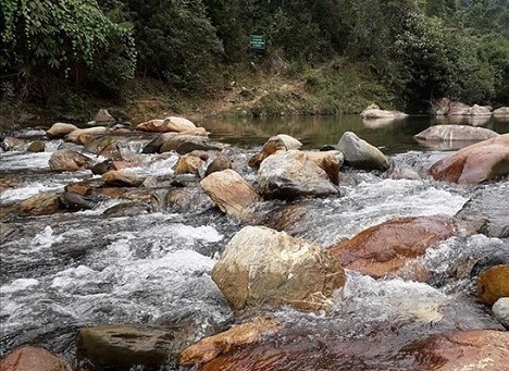 Một người đàn ông tử vong bên bờ suối nghi do tình nhân sát hại