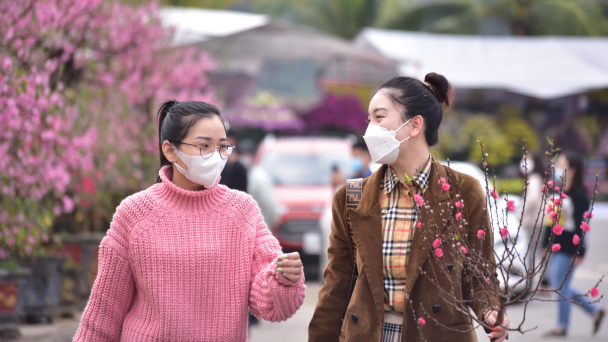 Chợ hoa lớn vắng người mua, tiểu thương lo lắng