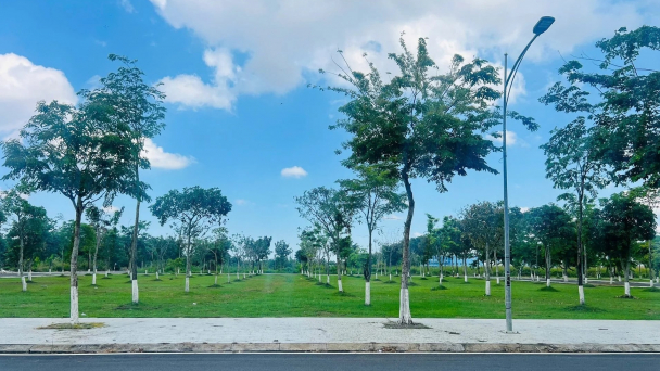 Đề nghị truy tố vắng mặt Chủ tịch Công ty Cây xanh Công Minh