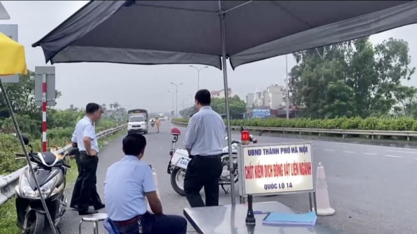 Đề nghị UBND TP Hà Nội lập chuyên án về vận chuyển trái phép gia cầm