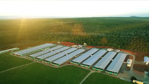 Greenfeed và hành trình giảm phát thải hướng đến Net Zero