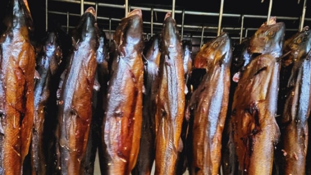 Sapa salmon’s brand affirmed