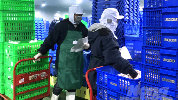 Kiểm tra an toàn thực phẩm kho lạnh của Bách Hóa Xanh