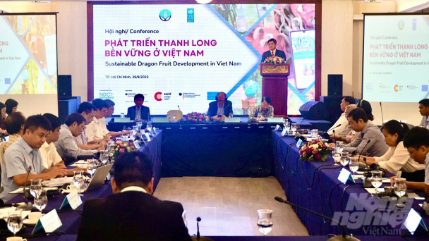 Chất lượng thanh long tốt nhưng chưa bán được giá cao thì ai trồng