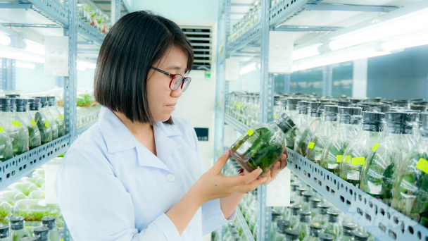 Giám đốc Sở KH-CN được quyết định mua sắm tài sản trị giá dưới 1 tỷ đồng