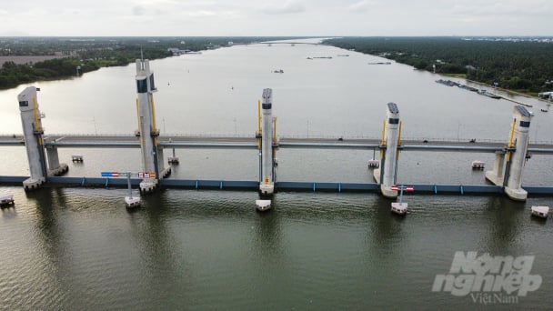 Quy hoạch toàn diện thủy lợi lưu vực sông Cửu Long