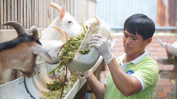 Tạo cơ hội để nông dân sản xuất, kinh doanh bền vững