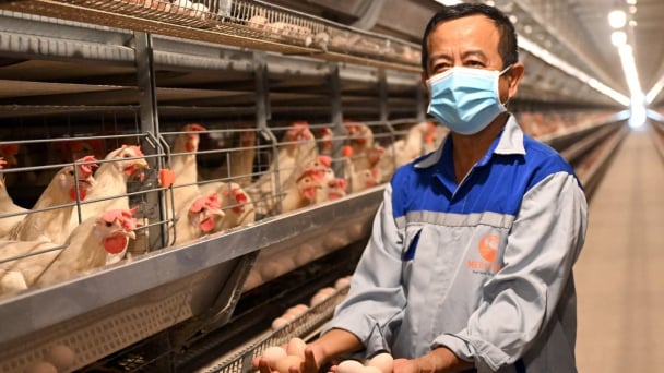 Mebi Group xây dựng hệ sinh thái nông nghiệp xanh, bền vững