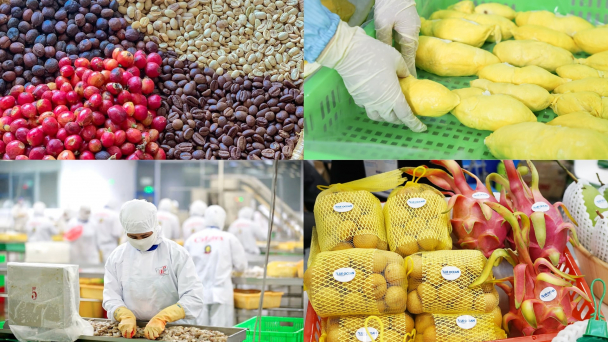 'Bắt bệnh', 'kê đơn' cho nông sản xuất khẩu