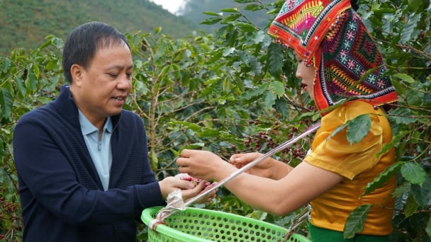 Điểm nghẽn logistics: [Bài 2] Chi phí bào mòn lợi nhuận doanh nghiệp