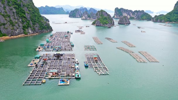 Quản lý tài nguyên nước thông minh cho phát triển bền vững thủy sản