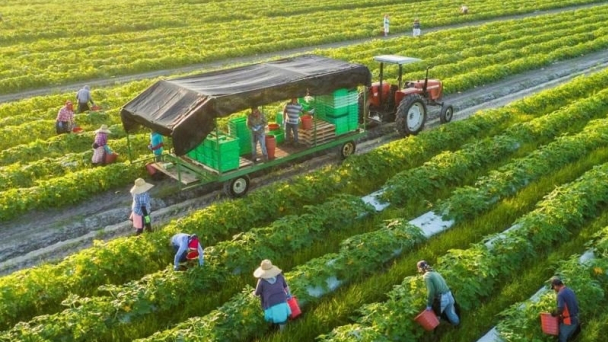 Đổi mới sáng tạo hướng tới một nền kinh tế xanh