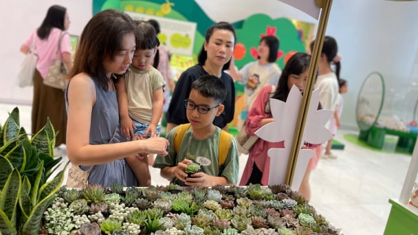 ‘Đổi đồ cũ lấy cây’: Lan tỏa lối sống xanh, bảo vệ môi trường