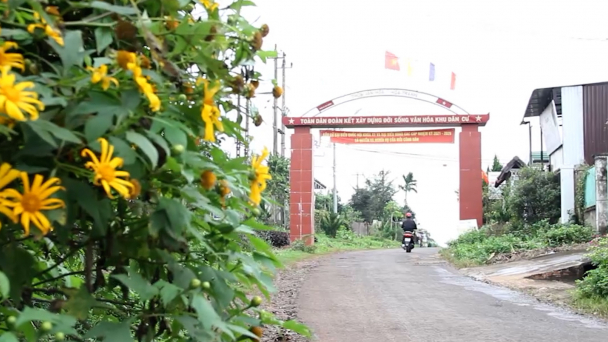 Tập trung nguồn lực xây dựng nông thôn mới nâng cao