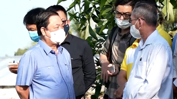 Lấy thị trường để quyết định sản xuất nông nghiệp
